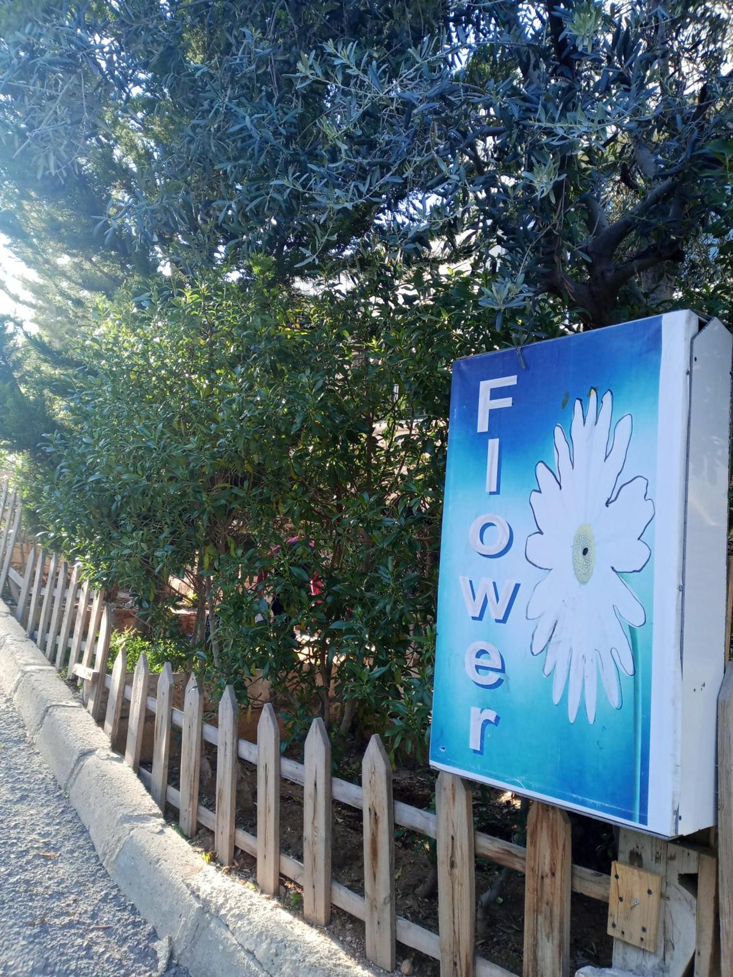 Flower 2 Джераш Екстер'єр фото